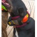 Pig Dog Rip Collar Basic